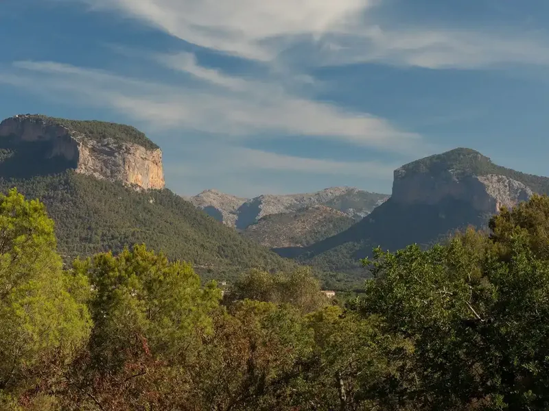 FINCA MEDITERRÁNEA EN ALARÓ CON VISTAS A LA SIERRA DE TRAMUNTANA, POZO PROPIO Y ALTA EFICIENCIA ENERGÉTICA — photo 9