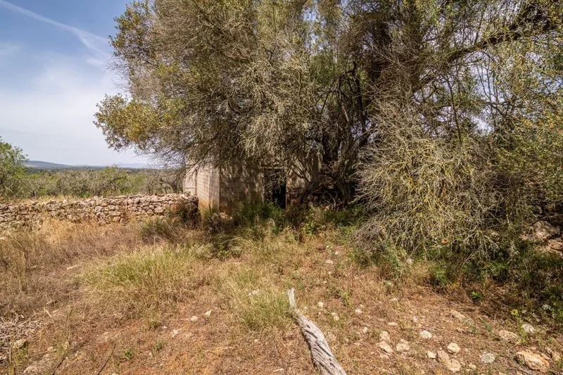 Rural or Farmhouse in Costitx, Province of Balearic Islands — photo 2