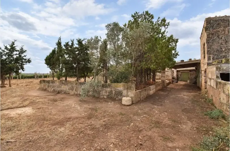 Finca rústica edificable con vistas a la Serra de Tramuntana – Muro. — photo 3