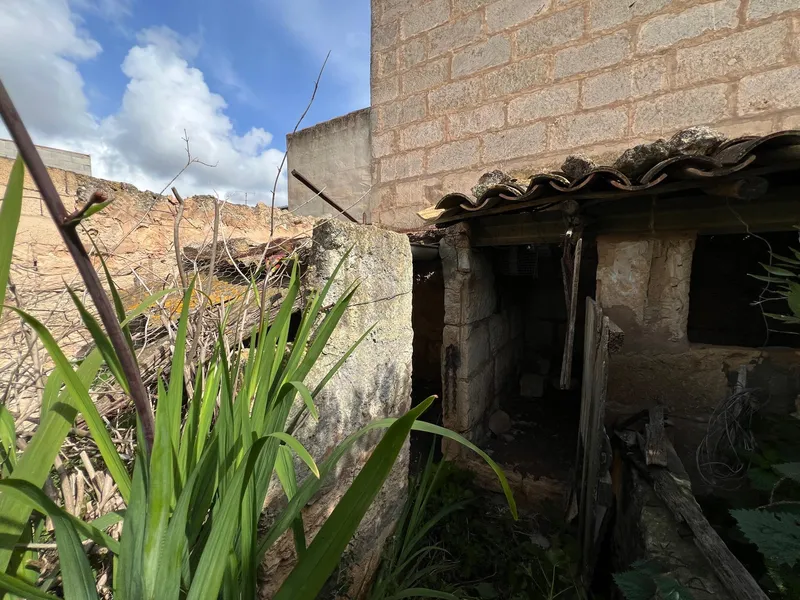 Renovation Opportunity in Muro, Mallorca — photo 2