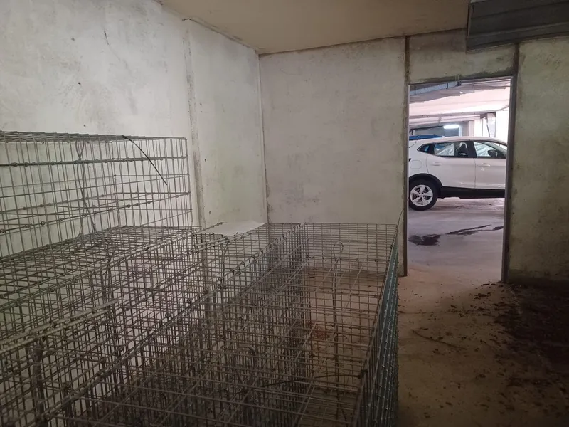 Garage in Felanitx — photo 4