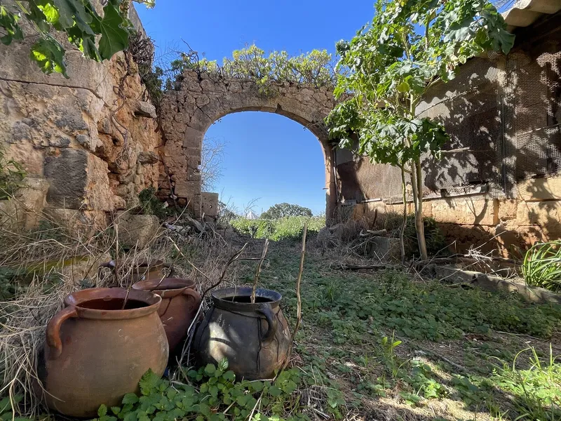 Journey back in time to the 16th century – historic finca in Campos — photo 8
