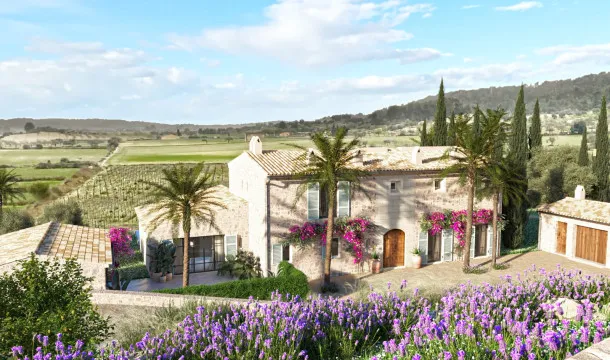 Finca with vineyard in Montuiri — photo 3