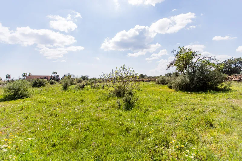 Plot with sea views 10 minutes from Porto Cristo — photo 5