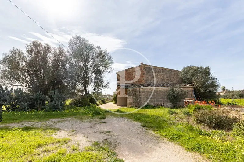 Casa rústica con jardín en venta en Son Rango — photo 10