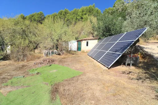 Fornalutx, olive grove on the outskirts of Fornalutx with sunny orientation — photo 8