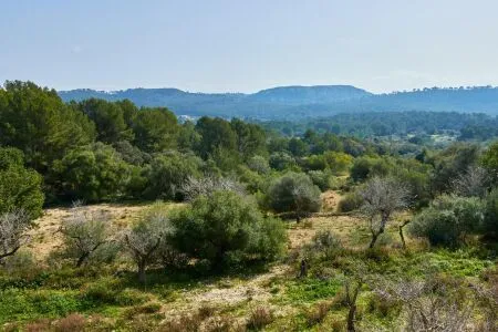 Rustic property - Llucmajor (Llucmajor (Campo)), Built Surface 1132m2, Plot Surface 171521m2, 5... — photo 9