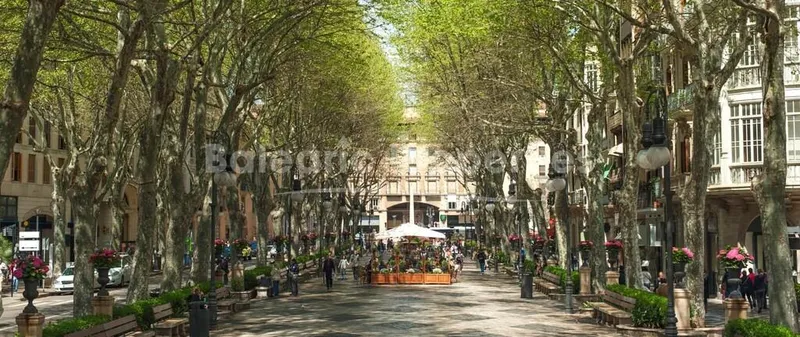 Contemporary Urban Living in Palma, Mallorca — photo 2
