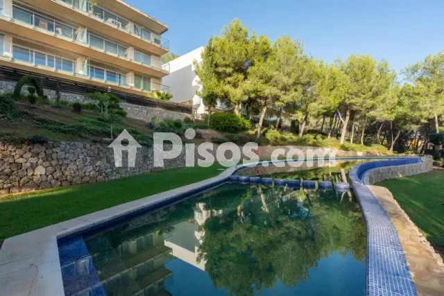 Piso en Santa Ponça — photo 1