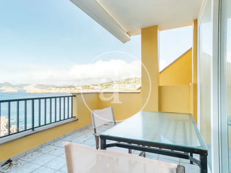 Apartment in Calvia, Mallorca — photo 2