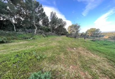 Terreno en Felanitx — photo 8