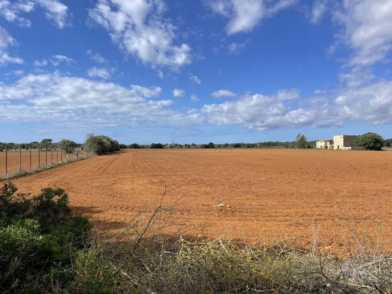 Country house between Campos and Sa Rapita to renovate — photo 5