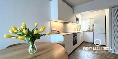 Ground floor apartment in Santa Ponsa — photo 1