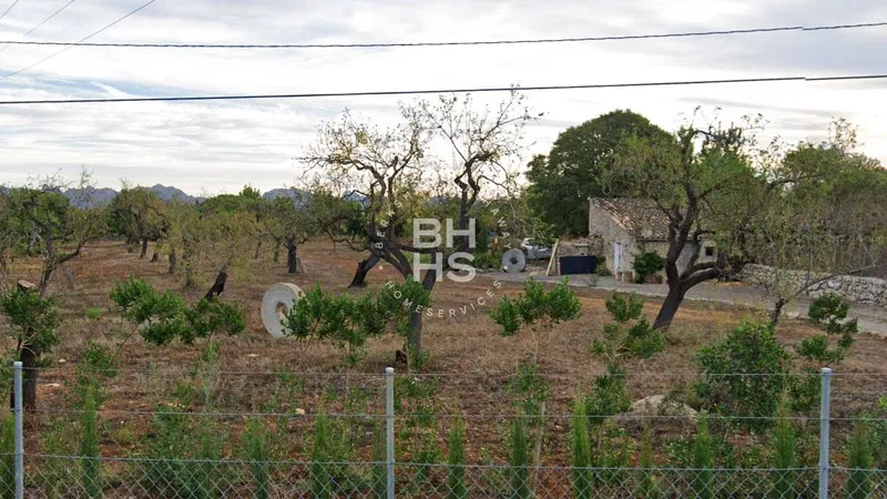 Country plot for sale in Pollença — photo 4