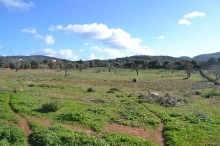 Rustic property - Manacor (Afueras), Built Surface 10m², Plot Surface 42985m² — photo 2
