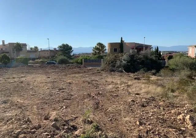 Plot of 1000m2 in Sa Torre, on the south of Mallorca — photo 8