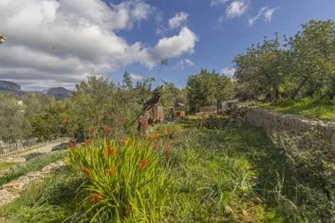 Rustic estate — photo 10