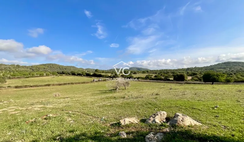 Son Servera · Mallorca — photo 11