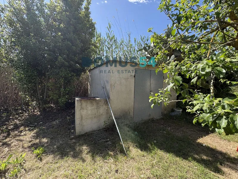 Unbuildable rural land with a shed in Sa Pobla — photo 4
