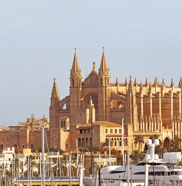 Exclusive and stylishly refurbished apartment on the Paseo Marítimo, Palma de Mallorca — photo 8