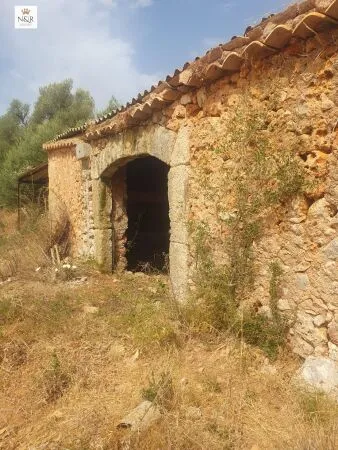 Rustic property in Sencelles (Cas Canar) with 25 m² built area and 48,266 m² plot — photo 5