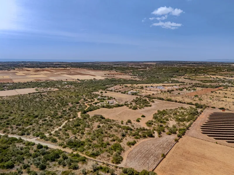 Building plot near Santanyí with project for a finca, pool, double garage and terraces — photo 5