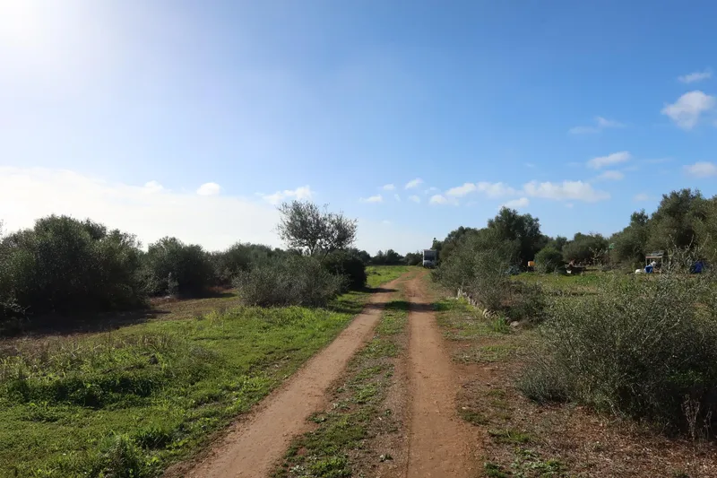 Buildable plot with great privacy in Campos – 14,625 m² — photo 5