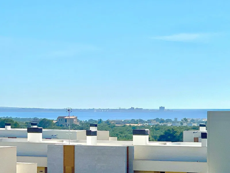 Villa for sale in Sa Rapita / La Rapita, Campos, Mallorca — photo 4