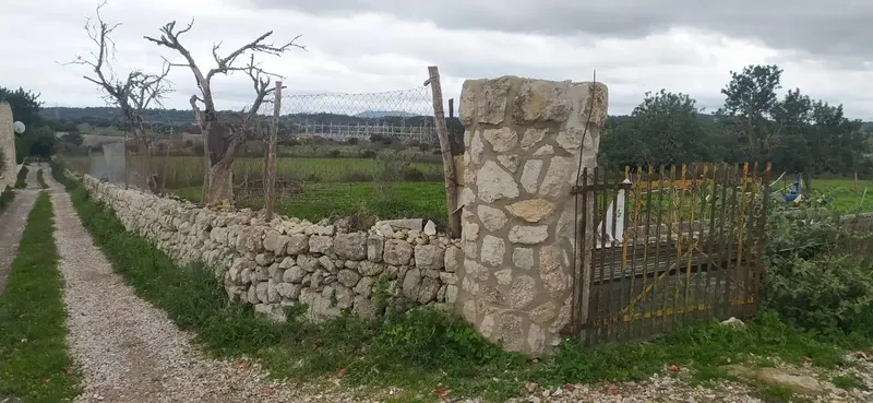 Beautiful rustic property, located in the municipality of Llubí, in a very quiet and easily accessible area. — photo 3