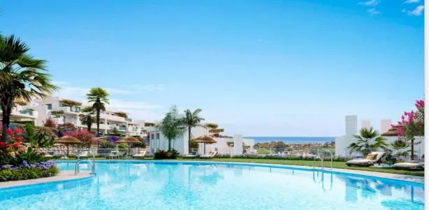 Apartment - Casares (Pedregales) — photo 9