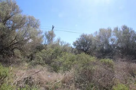 Rustic land - Llucmajor (Cala Pi-Vallgornera), plot surface 100,158 m², distance to the sea 3 km — photo 9