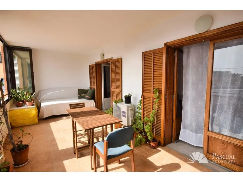 Penthouse with fantastic terrace in Alcudia — photo 4