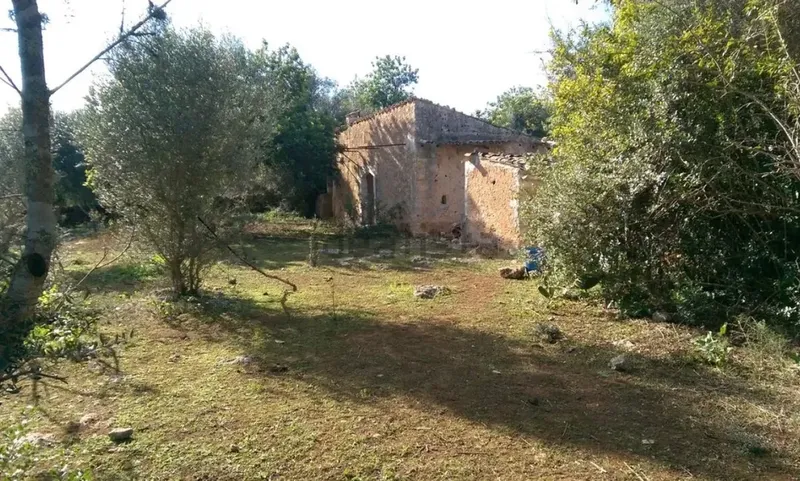 Rustic estate with tool shed — photo 3