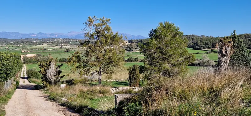 Country house project, 34,000 m² with building permit, mountain views, Montuiri — photo 11