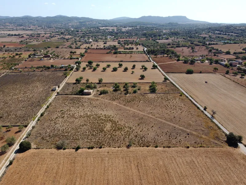 Buildable plot in Felanitx of 21,710 m2 — photo 7