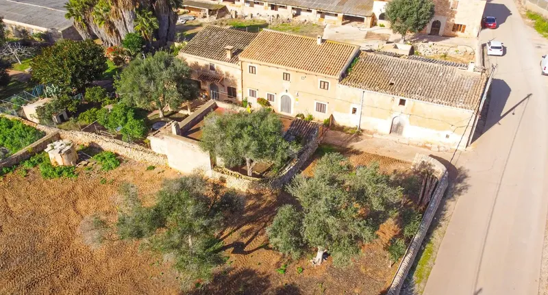 Charming rustic finca with great renovation potential in Ses Salines πΏ β photo 4