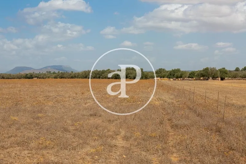 Land in Campos, Province of Balearic Islands — photo 10