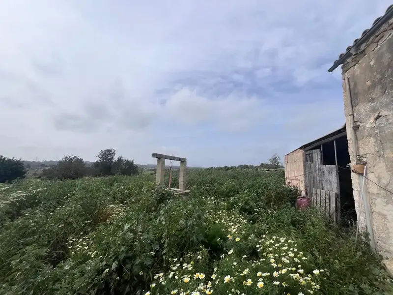 This estate in Llubí is an excellent opportunity for those seeking tranquility, space, and renovation potential. — photo 11