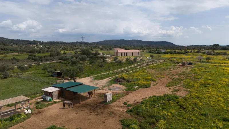 Finca new construction in Llucmajor — photo 8