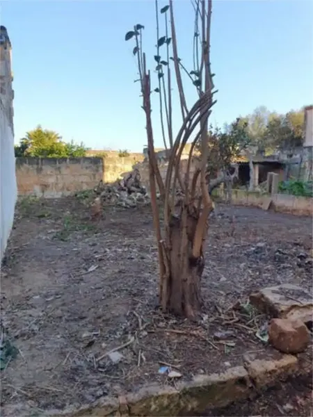 Plot for sale in Muro, calle Sagrera 20. Full renovation. — photo 3