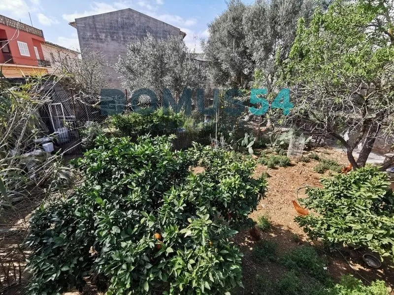 plot in Muro — photo 1