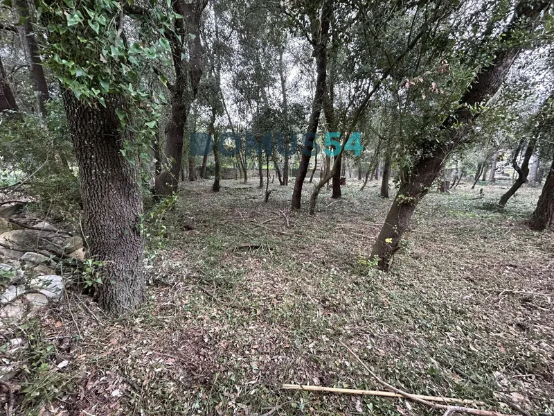 Urban plot in Son Toni Sa Pobla — photo 7