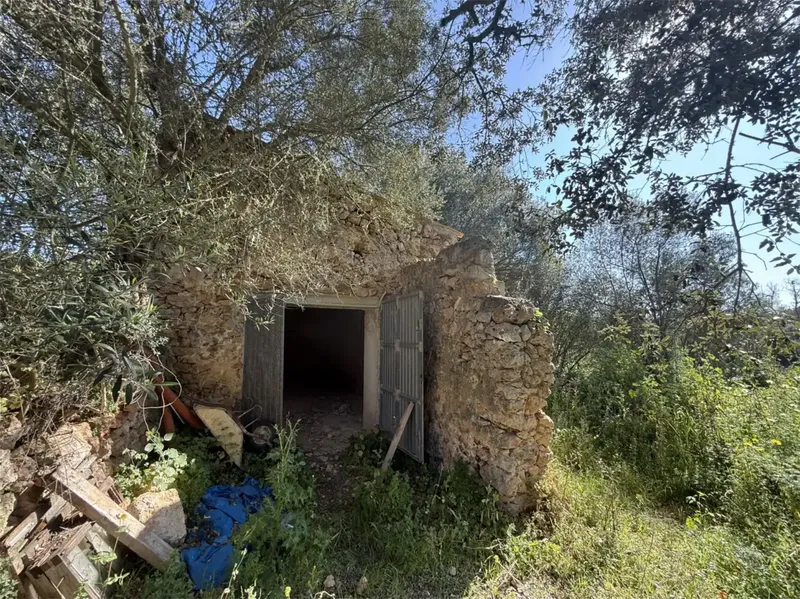 Rustic estate of 11,000 m² with cottage to renovate — photo 1