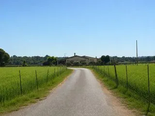 House rental in Santa Eugènia — photo 1