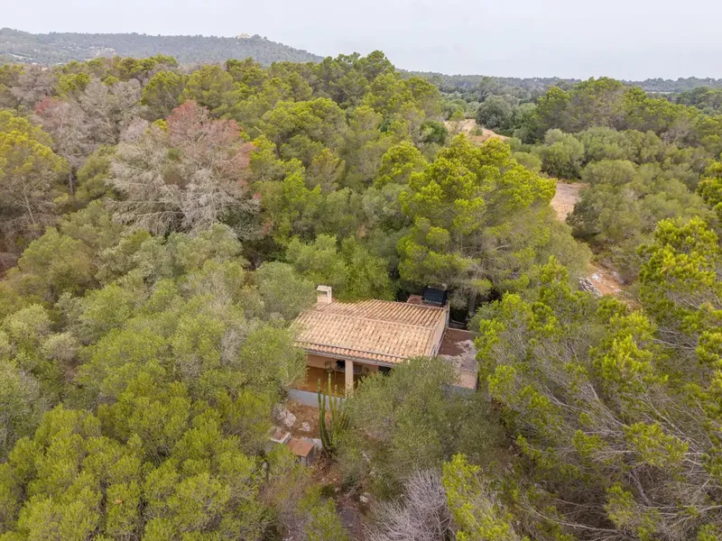 If you are looking for a refuge to enjoy the tranquility of the Mallorcan countryside, surrounded by nature and with excellent connections, this pro — photo 6