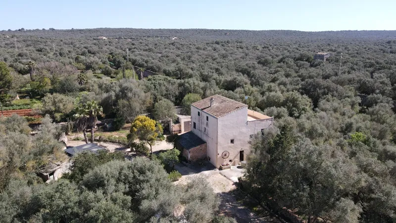 Rustic finca with 15,000 m² and high renovation potential in Campos — photo 1