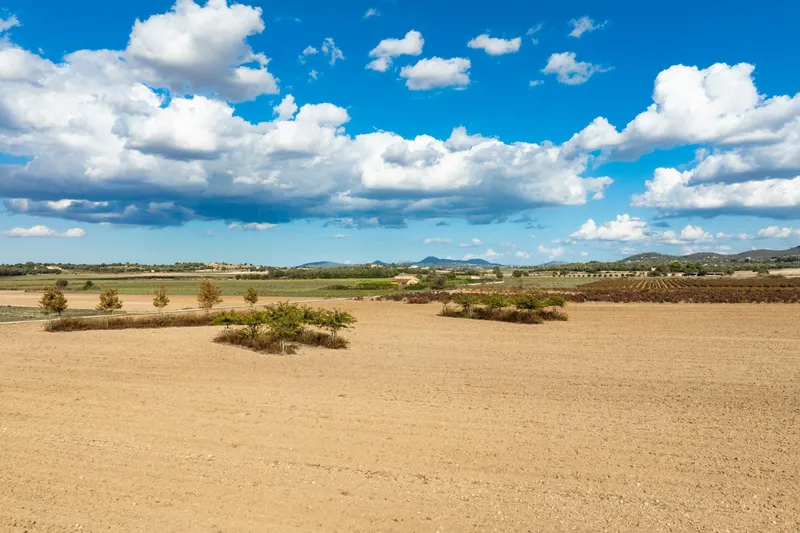 Mediterranean building plot with approved finca project and panoramic views near Manacor — photo 8