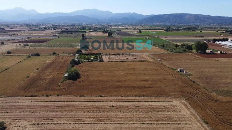 plot in Muro — photo 1