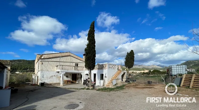 Country estate for renovation between the village and the port of Andratx — photo 2