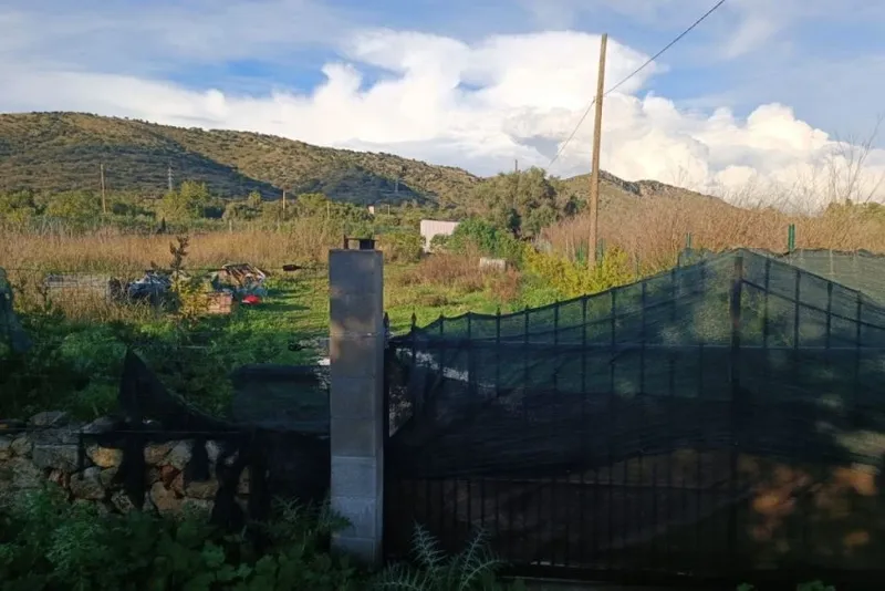 Sale of Rustic Houses Sant Llorenç des Cardassar — photo 4